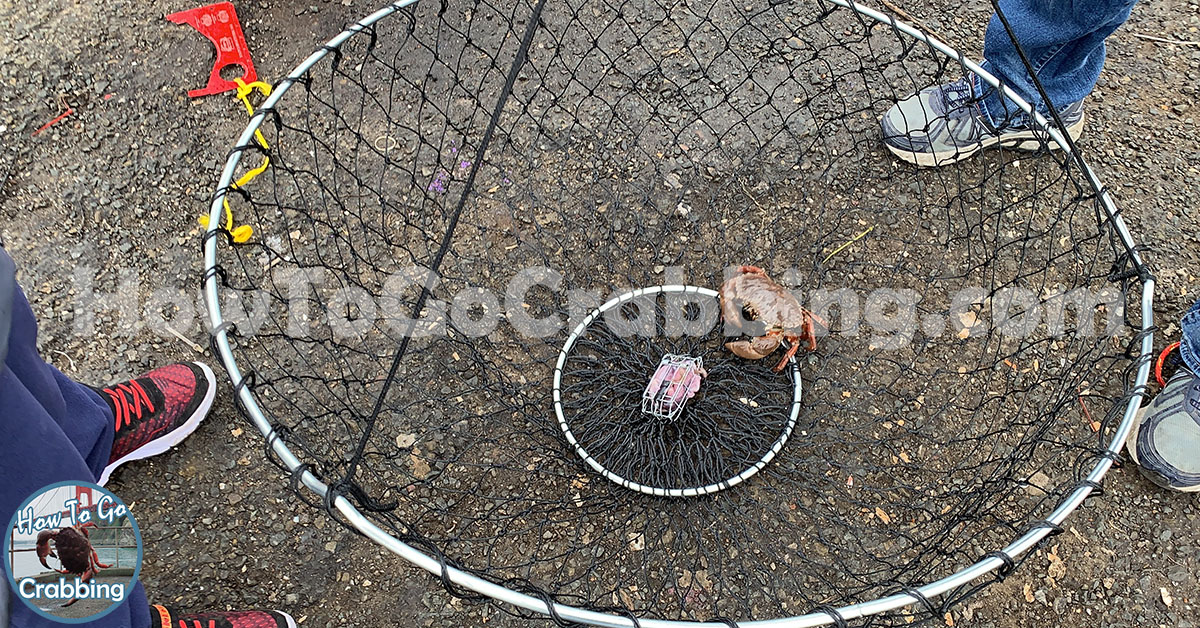 What is the best type of crabbing?